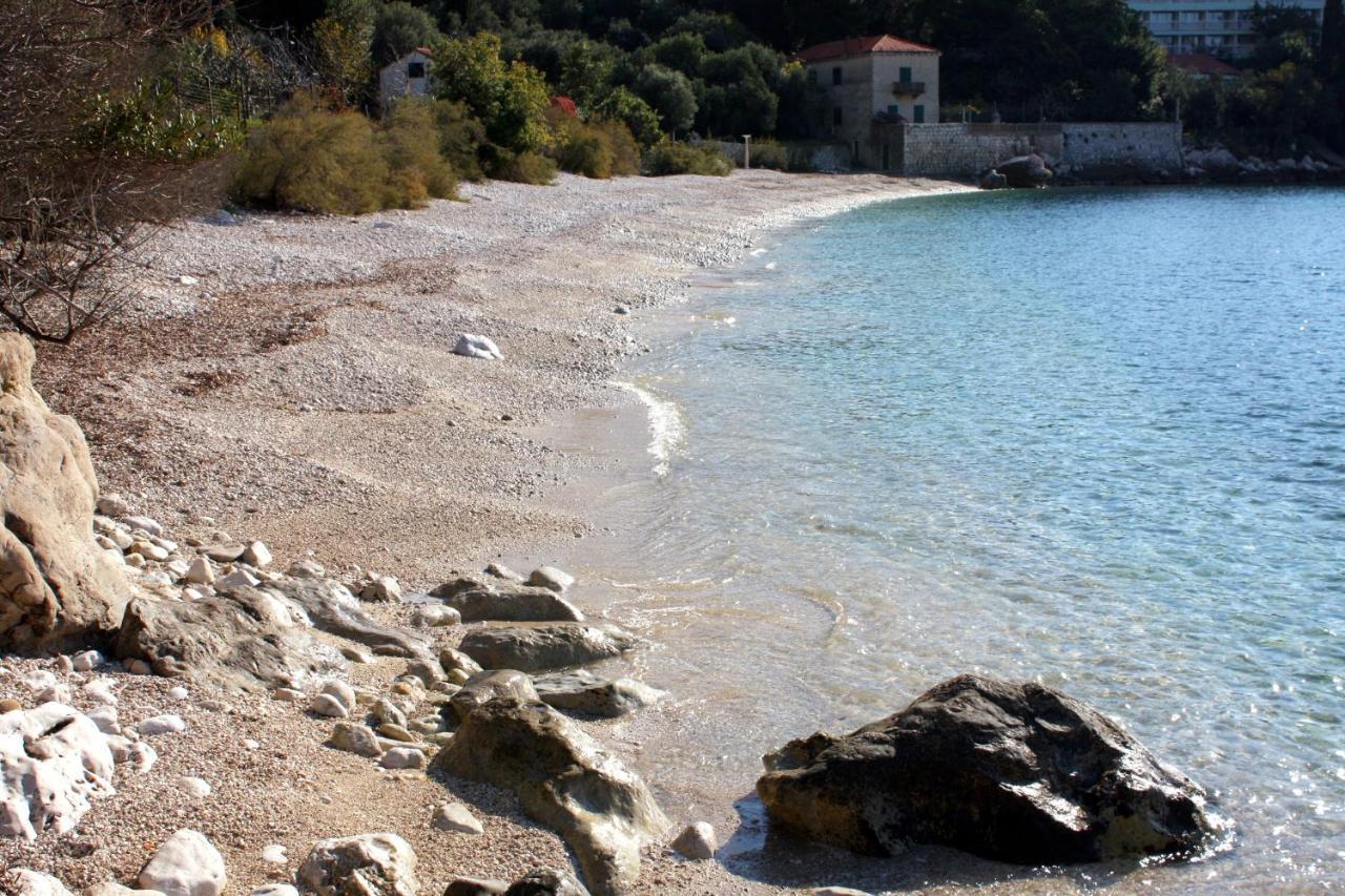 Apartments With A Parking Space Plat, Dubrovnik - 4776 Mlini Kültér fotó